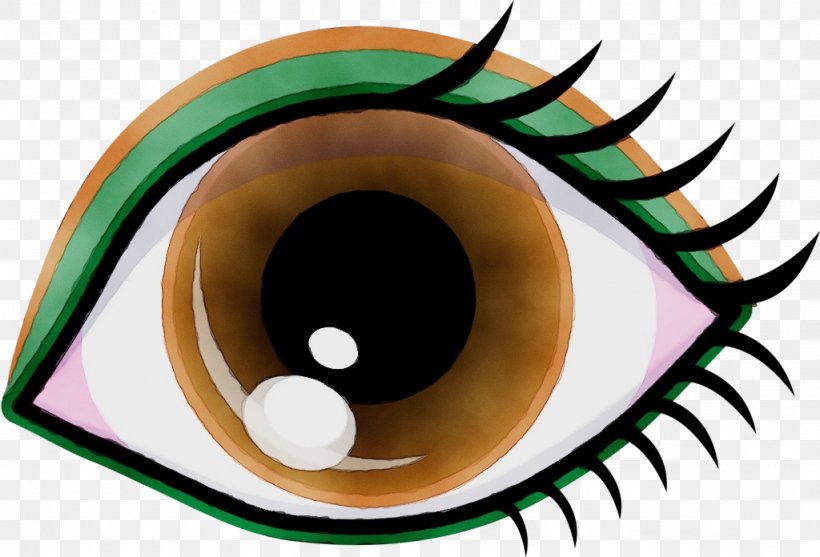 Eyebrow Wink Visual Perception Eyelash, PNG, 1024x696px, Watercolor, Brown, Eye, Eyebrow, Eyelash Download Free