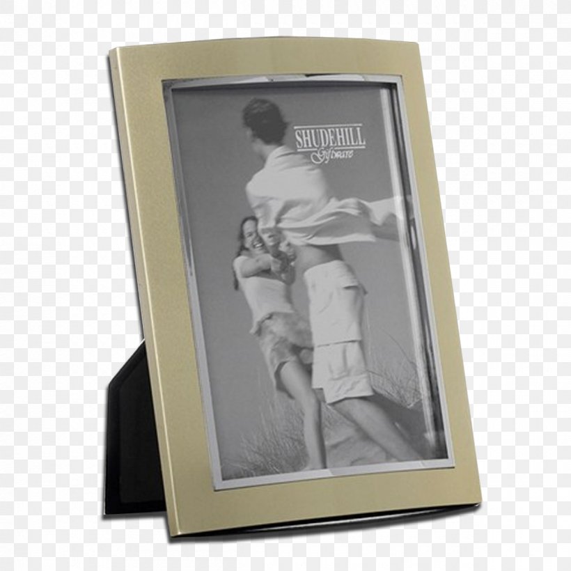 Picture Frames Silver Anodizing Metal Gold, PNG, 1200x1200px, Picture Frames, Aluminium, Anodizing, Cornice, Garden Download Free