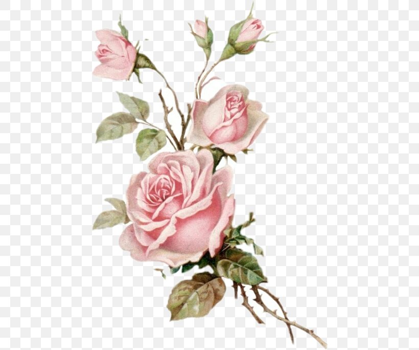 Rose Clip Art Image Flower, PNG, 464x684px, Rose, Artificial Flower, Botany, Bouquet, Bud Download Free