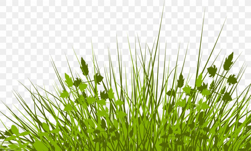 Silhouette Royalty-free Clip Art, PNG, 2500x1510px, Silhouette, Chrysopogon Zizanioides, Commodity, Drawing, Grass Download Free