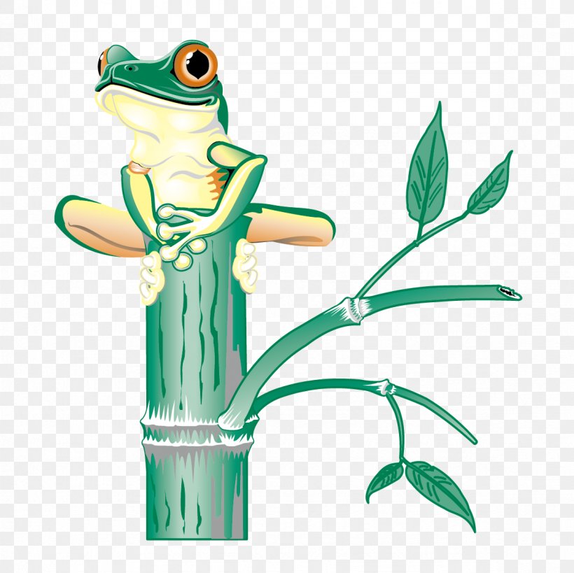 Tree Frog Clip Art, PNG, 1181x1181px, Frog, Amphibian, Animal, Australian Green Tree Frog, Drawing Download Free