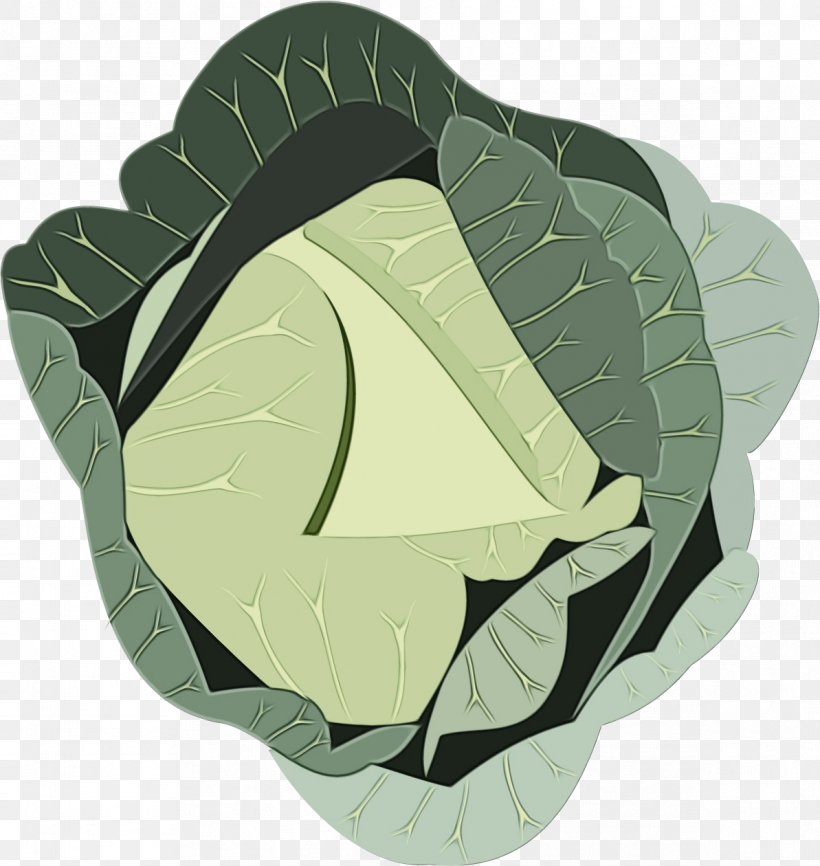 Cabbage Leaf Green Wild Cabbage Vegetable, PNG, 1193x1260px, Watercolor, Cabbage, Cruciferous Vegetables, Green, Leaf Download Free