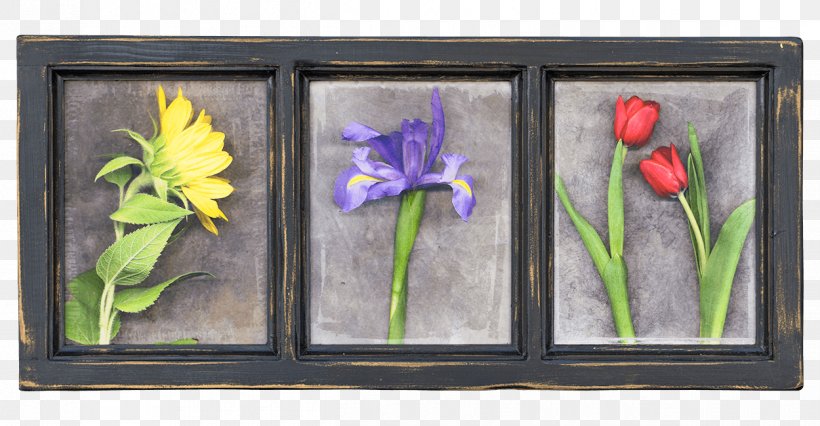 Floral Design Still Life Cut Flowers Tulip Picture Frames, PNG, 1250x650px, Floral Design, Artwork, Cut Flowers, Flora, Floristry Download Free
