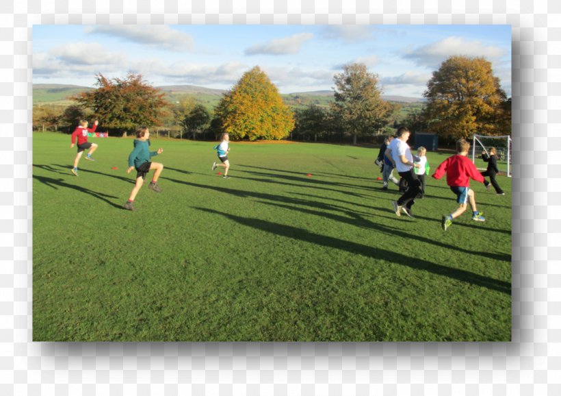 Artificial Turf Tournament Team Sport Leisure, PNG, 1470x1037px, Artificial Turf, Ball, Competition, Competition Event, Field Download Free