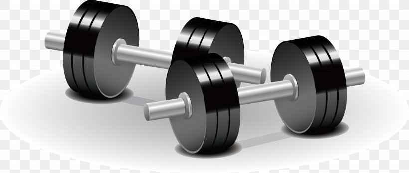 Dumbbell Weight Training Olympic Weightlifting Physical Exercise, PNG, 5008x2121px, Dumbbell, Barbell, Cartoon, Exercise Equipment, Olympic Weightlifting Download Free
