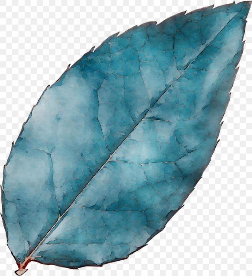 Leaf Turquoise, PNG, 1098x1205px, Leaf, Blue, Plant, Turquoise Download Free