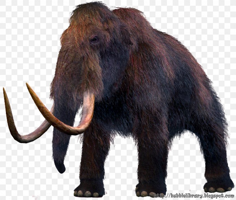 Mammuthus Meridionalis Woolly Mammoth Columbian Mammoth Extinction Woolly Rhinoceros, PNG, 1600x1356px, Mammuthus Meridionalis, African Elephant, Columbian Mammoth, Cromagnon, Elephant Download Free