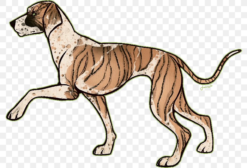 Spanish Greyhound Italian Greyhound Sloughi Whippet, PNG, 789x557px, Spanish Greyhound, Animal, Animal Figure, Azawakh, Breed Download Free