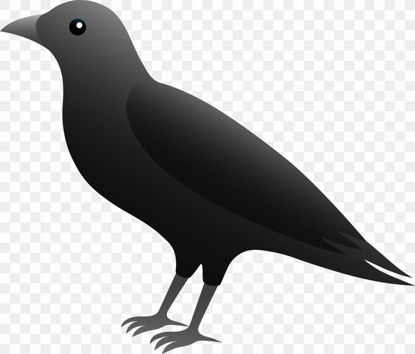 Common Raven Rook Carrion Crow Clip Art, PNG, 7521x6425px, Common Raven, Beak, Bird, Black And White, Carrion Crow Download Free
