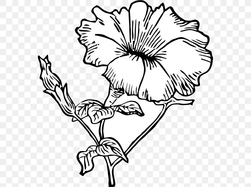 Drawing Line Art Flower Petunia Clip Art, PNG, 574x612px, Drawing, Artwork, Black And White, Branch, Cut Flowers Download Free