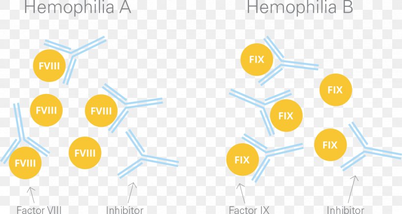 Factor IX Coagulation Haemophilia B AlphaNine SD, PNG, 1238x660px, Factor Ix, Brand, Coagulation, Communication, Computer Icon Download Free