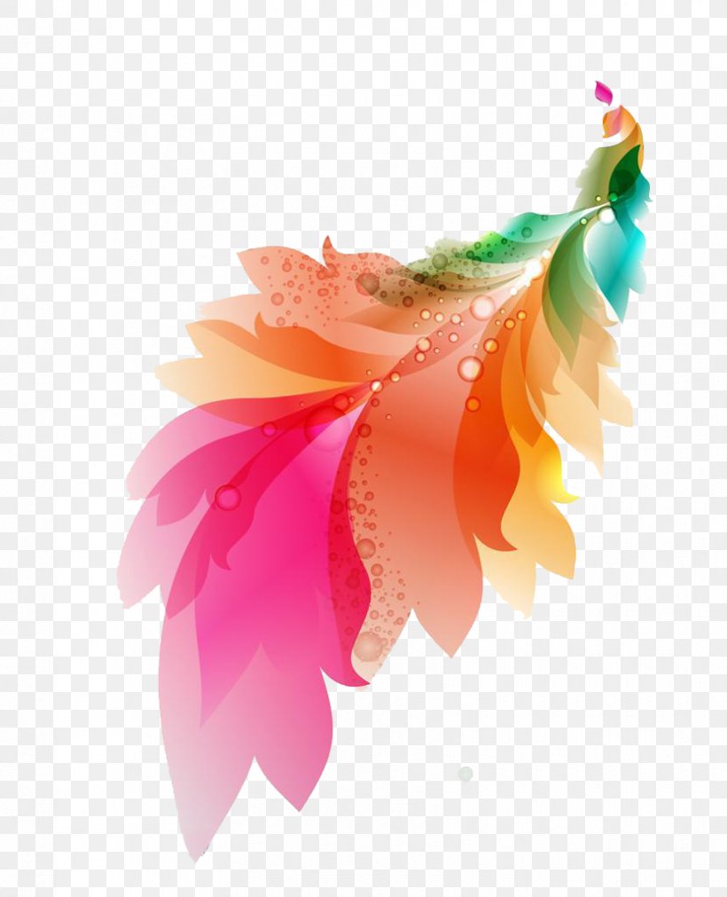 Feather Color, PNG, 830x1024px, Feather, Color, Flower, Flowering Plant, Microsoft Word Download Free
