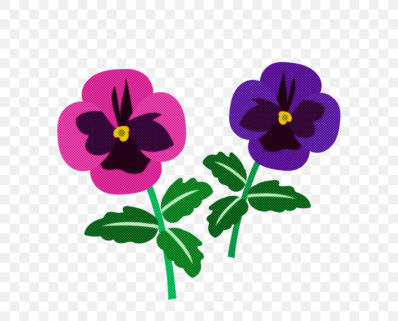 Flower Violet Wild Pansy Purple Plant, PNG, 660x660px, Flower, Pansy, Petal, Plant, Purple Download Free