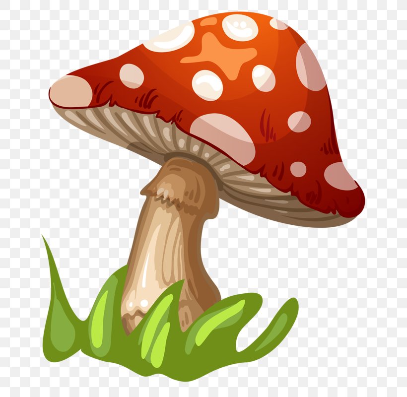 Fungus Mushroom Clip Art, PNG, 737x800px, Fungus, Child, Drawing, Hat, Headgear Download Free