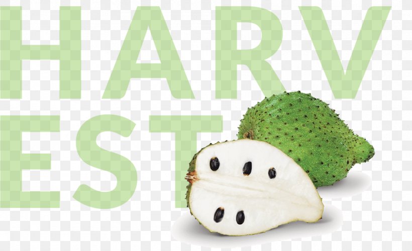 Juice Soursop Fruit Açaí Palm Dessert, PNG, 946x577px, Juice, Berry, Cocktail, Dessert, Extract Download Free