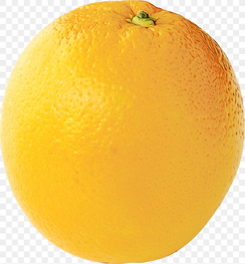 Lemon Background, PNG, 1315x1416px, Clementine, Bitter Orange, Citric Acid, Citron, Citrus Download Free