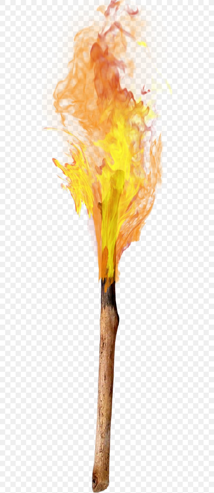 Torch Flame Combustion, PNG, 640x1883px, Watercolor, Cartoon, Flower, Frame, Heart Download Free