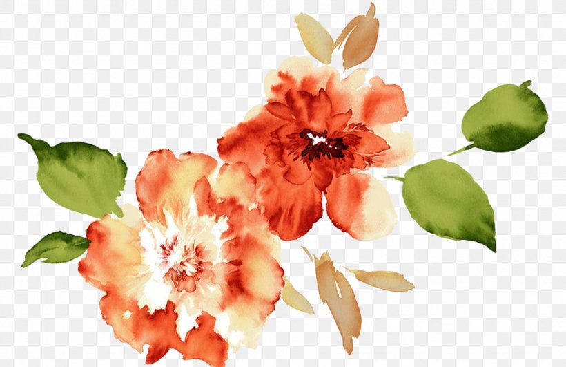 Watercolour Flowers Paper Watercolor Painting, PNG, 1024x664px, Watercolour Flowers, Art, Blossom, Claudette, Color Download Free