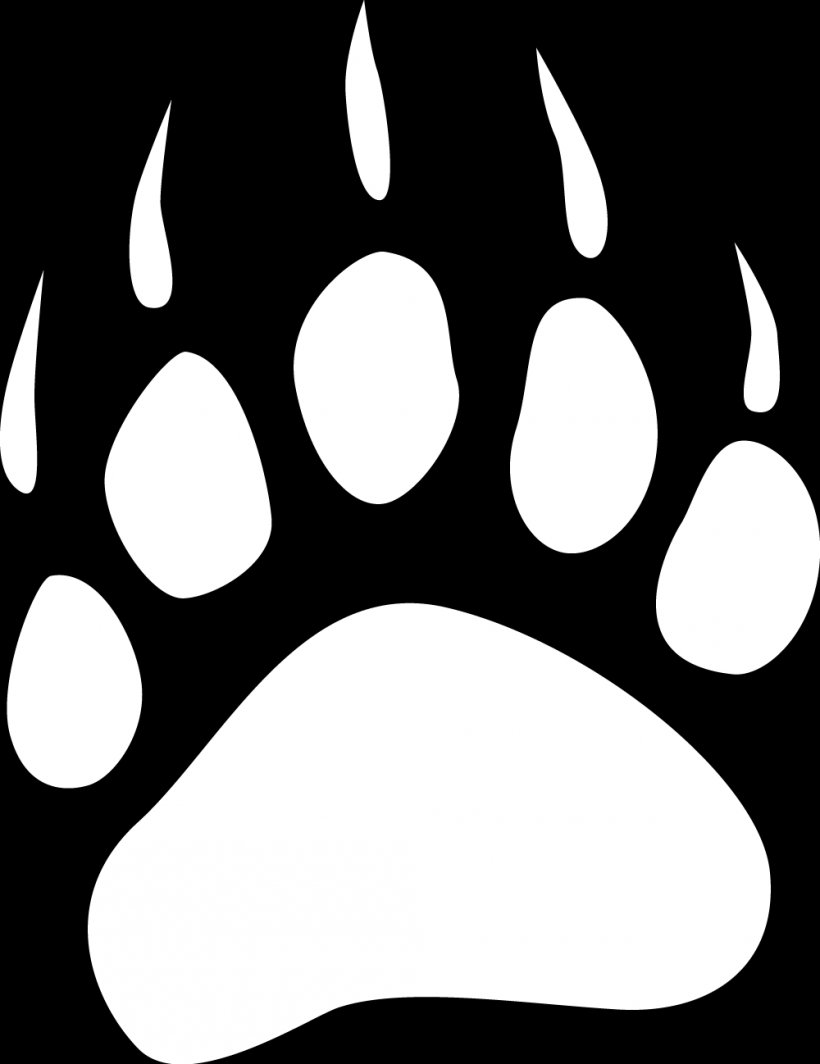 White Bear Lake Area High School School District 35 Langley Student Wix-Brown Elementary School, PNG, 1000x1298px, White Bear Lake Area High School, Black, Black And White, Class, College Download Free