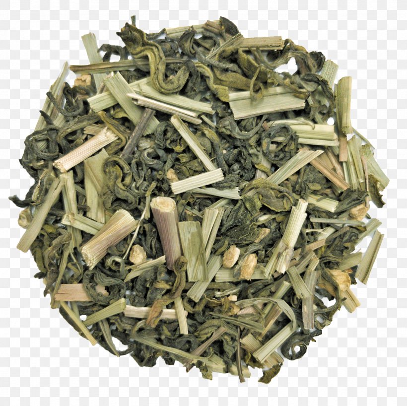 Green Tea TGL Co. Nilgiri Tea Indian Filter Coffee, PNG, 2359x2356px, Tea, Bai Mudan, Bancha, Biluochun, Ceylon Tea Download Free