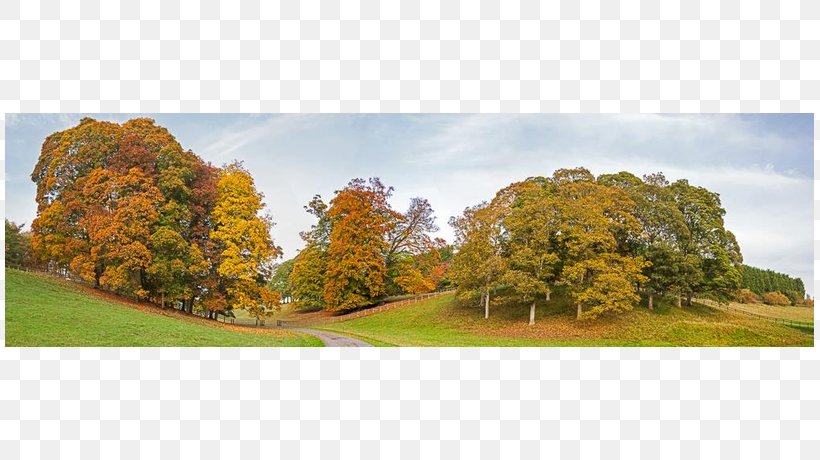 Land Lot Biome Tree Real Property Sky Plc, PNG, 809x460px, Land Lot, Autumn, Biome, Grass, Landscape Download Free