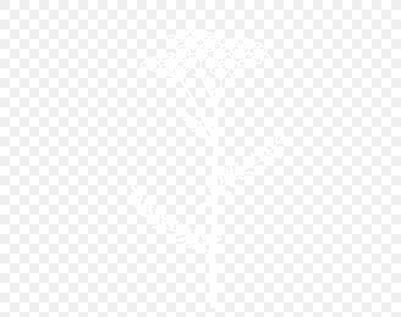 Line Angle, PNG, 495x650px, White, Rectangle Download Free