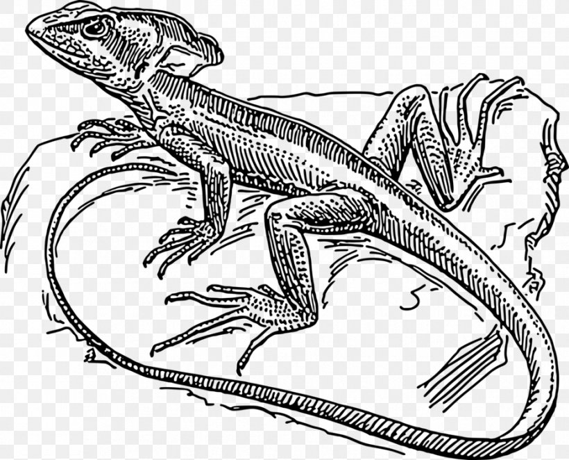 Lizard Common Basilisk Drawing Plumed Basilisk Coloring Book, PNG, 928x750px, Lizard, Amphibian, Animal Figure, Basilisk, Coloring Book Download Free