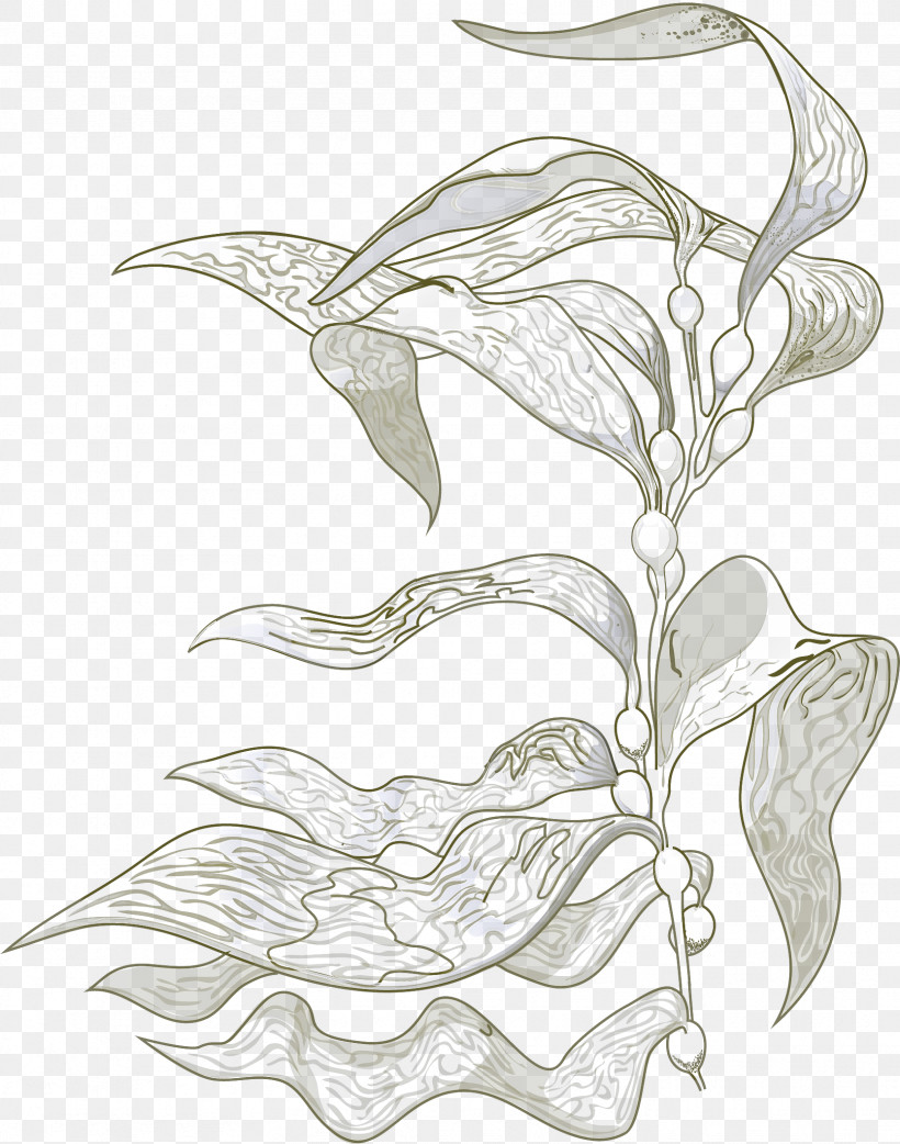 White Leaf Black-and-white Plant Flower, PNG, 1667x2119px, White, Anthurium, Blackandwhite, Flower, Leaf Download Free