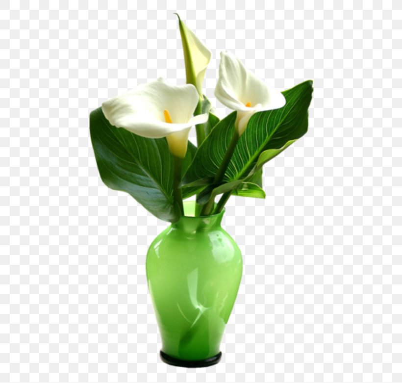 Flower Vase Floral Design, PNG, 500x781px, Flower, Akhmad Kadyrov Mosque, Artificial Flower, Arum, Calas Download Free