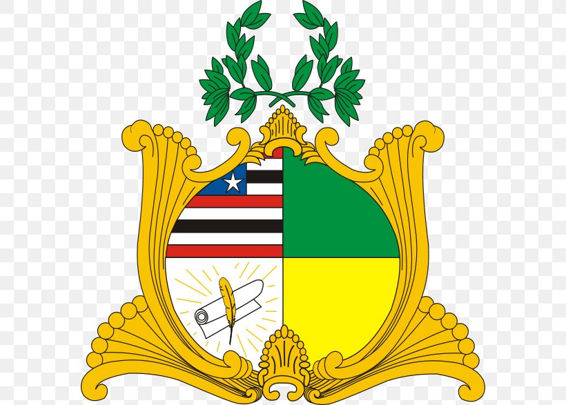 Government State History Governor Brazil, PNG, 586x587px, Government, Area, Brazil, Flower, Governor Download Free