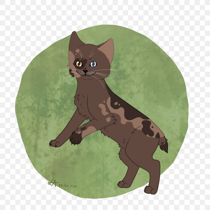 Korat Kitten Tabby Cat Animal Mammal, PNG, 1500x1500px, Korat, Animal, Black Cat, Carnivora, Carnivoran Download Free