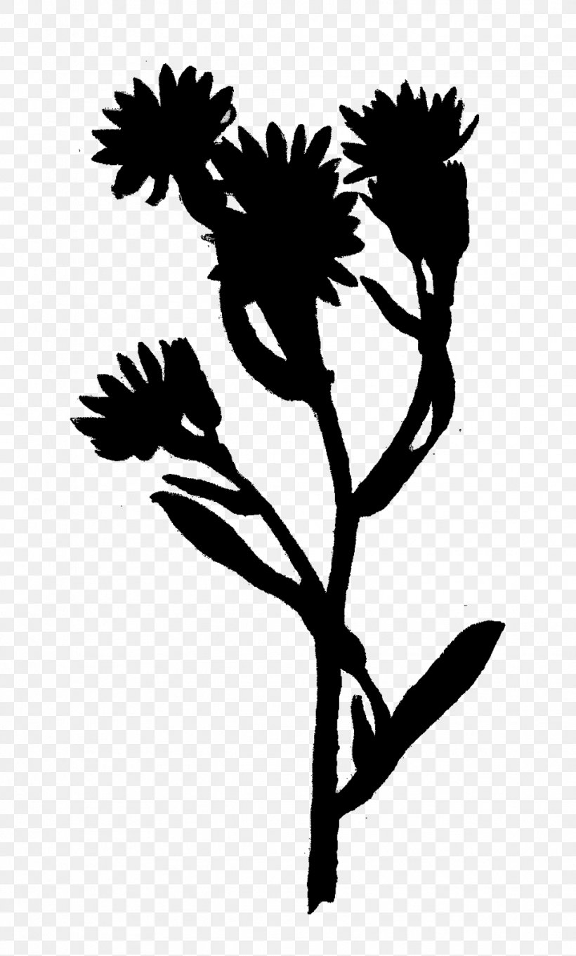 Twig Plant Stem Flower Leaf Clip Art, PNG, 963x1600px, Twig, Blackandwhite, Botany, Branch, Flower Download Free