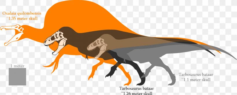 Tyrannosaurus Tarbosaurus Spinosaurus Carnotaurus Giganotosaurus, PNG, 1362x546px, Tyrannosaurus, Art, Carcharodontosaurus, Carnotaurus, Cartoon Download Free