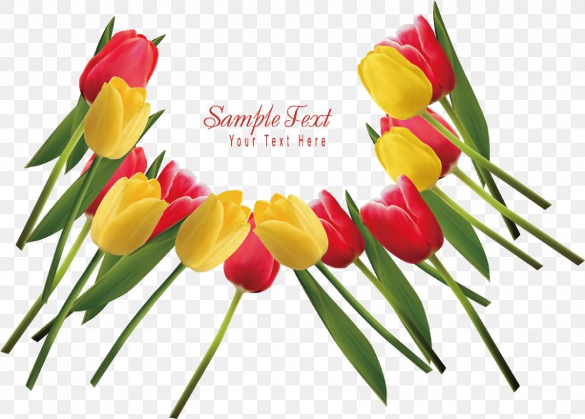 Indira Gandhi Memorial Tulip Garden Flower, PNG, 848x608px, Indira Gandhi Memorial Tulip Garden, Cut Flowers, Floral Design, Floristry, Flower Download Free