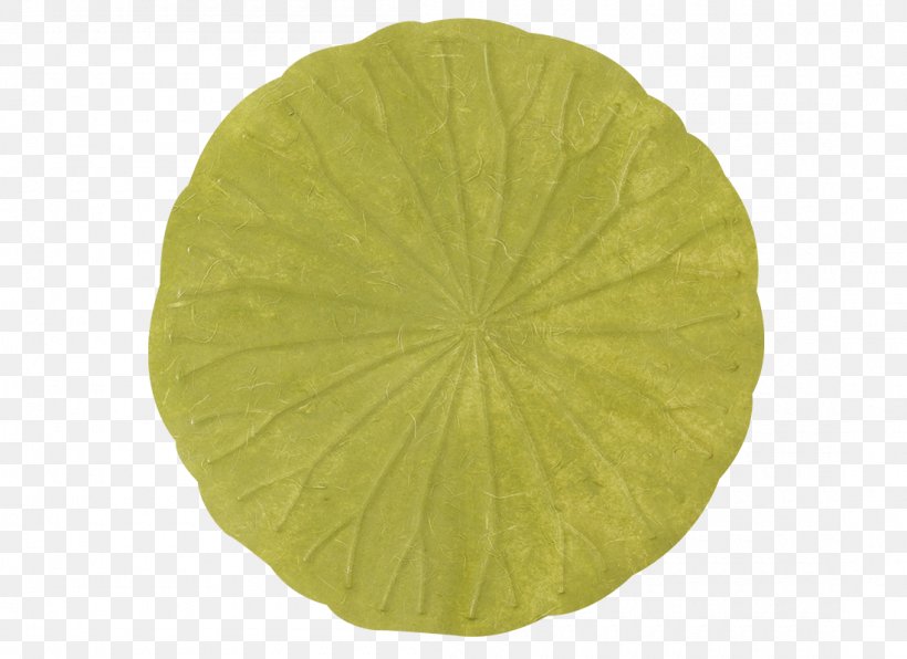 Leaf, PNG, 1100x800px, Leaf, Green, Yellow Download Free
