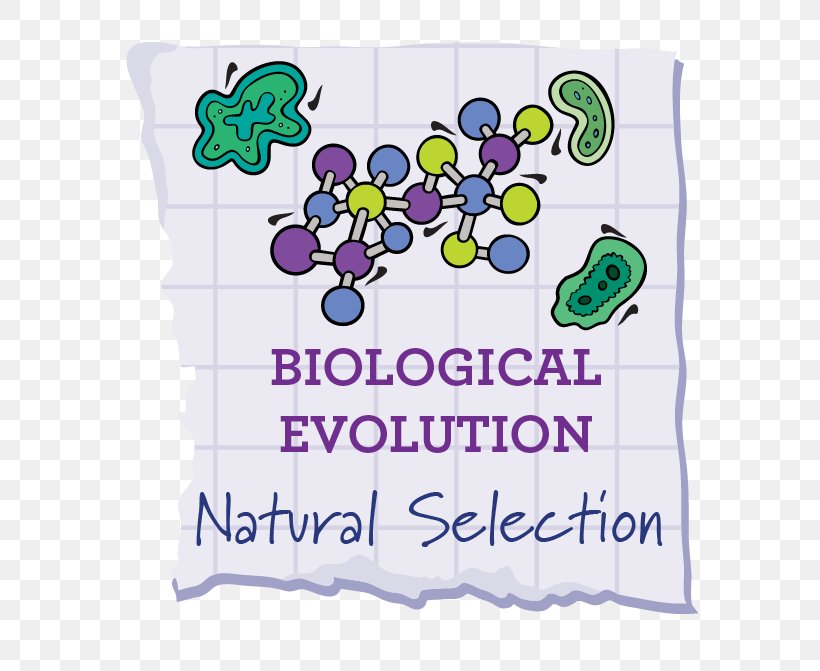 Natural Selection Selective Breeding Evolution Phenotypic Trait Common Descent, PNG, 659x671px, Natural Selection, Adaptation, Ancestor, Animal, Area Download Free