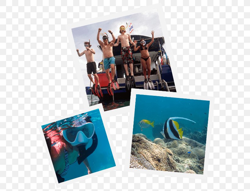Pattaya Scuba Adventures Thailand Pattaya Dive Centre: PADI 5-Star IDC Scuba Diving Professional Association Of Diving Instructors Adventure Diving, PNG, 626x626px, Scuba Diving, Coral Reef, Dive Center, Leisure, Pattaya Download Free