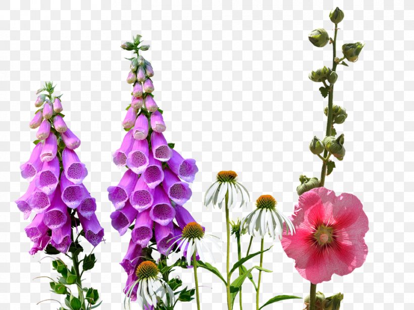 Wildflower, PNG, 960x719px, Flower, Annual Plant, Cut Flowers, Delphinium, Digitalis Download Free