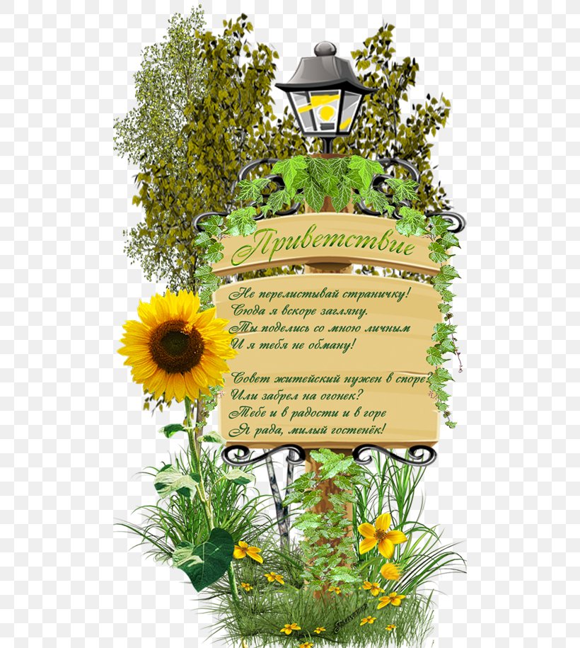 Greeting Verse Parable Floral Design Song, PNG, 500x915px, Greeting, Albom, Author, Blog, Book Download Free