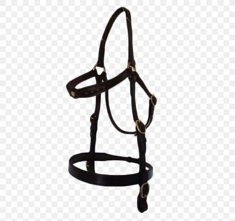 Bridle Longeing Cavesson Horse Tack Bit Halter, PNG, 432x768px, Bridle, Australia, Australian Stock Horse, Bit, Brass Download Free