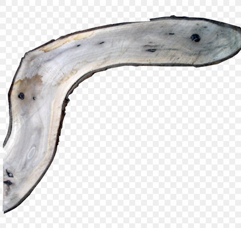 Fish Document Boomerang Image Elbow, PNG, 1000x947px, Fish, Boomerang, Document, Elbow Download Free