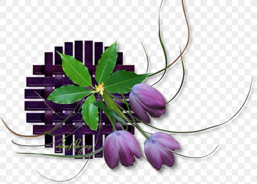 Floral Design Cut Flowers Web Browser, PNG, 837x600px, Floral Design, Blume, Bookmark, Bracket, Charcoal Download Free