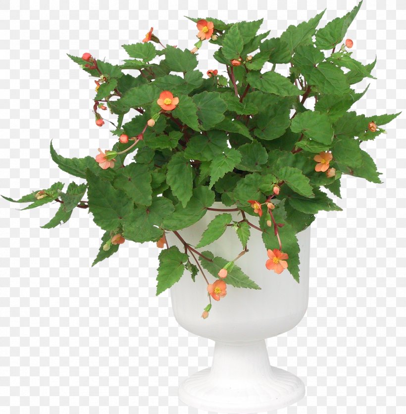 Flowerpot Green Clip Art, PNG, 1176x1200px, Flowerpot, Bonsai, Flower, Flowering Plant, Green Download Free