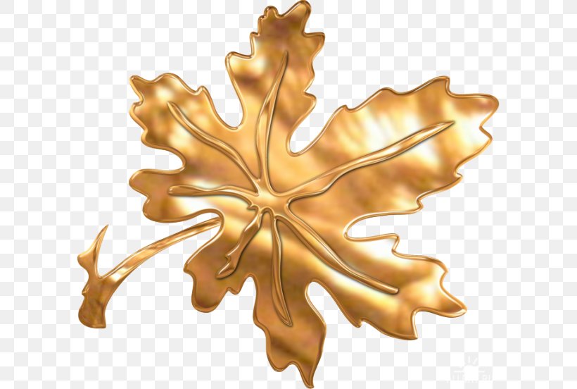 Metal Leaf Metal Leaf Image, PNG, 600x552px, Leaf, Geometric Shape, Gold, Gold Leaf, Metal Download Free