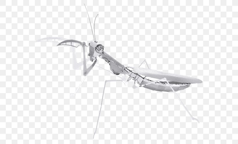 Praying Metal Insect Mantis Steel, PNG, 620x495px, Praying, Arthropod, Black And White, Insect, Invertebrate Download Free