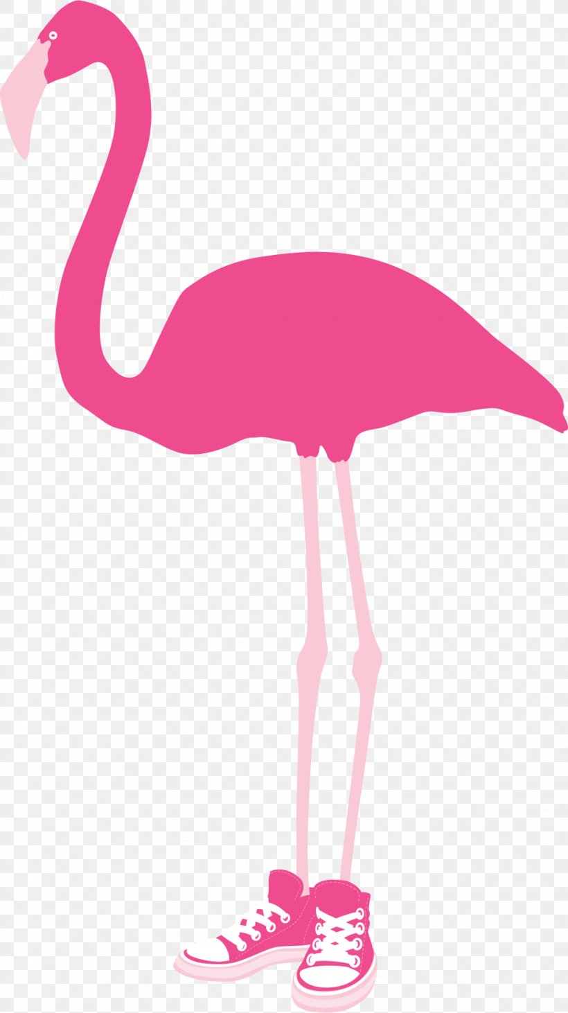 Apopka Mount Dora Flamingo Florida Hospital Waterman Tavares, PNG, 1023x1824px, 5k Run, Apopka, Beak, Bird, Chilean Flamingo Download Free