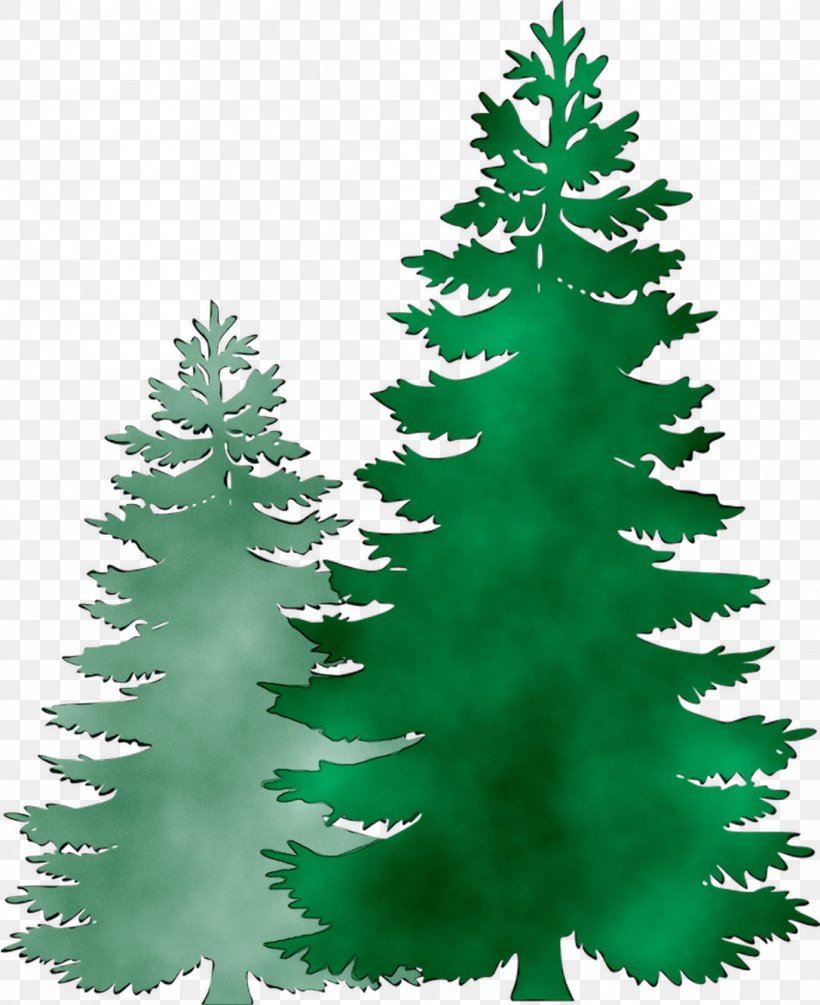 Clip Art Pine Fir Image Spruce, PNG, 1088x1334px, Pine, American Larch, Balsam Fir, Canadian Fir, Christmas Decoration Download Free