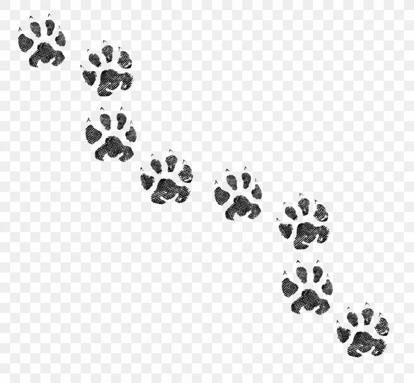 Dog Cat Paw Animal Track Footprint, PNG, 1000x926px, Dog, Animal, Animal Track, Black, Black And White Download Free