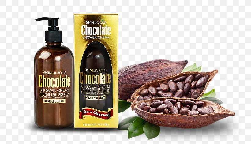 Hot Chocolate Cocoa Bean Chocolate Milk, PNG, 760x470px, Hot Chocolate, Bean, Botanical Name, Cacao Tree, Chocolate Download Free
