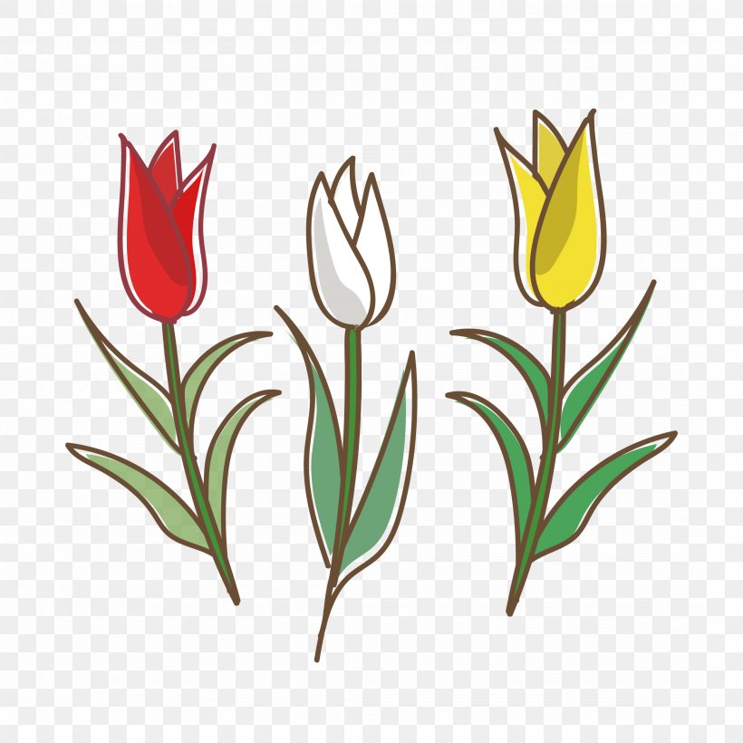 Tulip White Flower Yellow Graphics, PNG, 2154x2154px, Tulip, Color, Cut Flowers, Flower, Flowering Plant Download Free